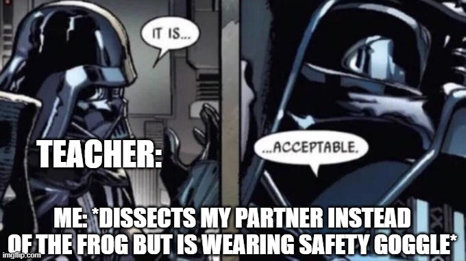 It is acceptable | TEACHER:; ME: *DISSECTS MY PARTNER INSTEAD OF THE FROG BUT IS WEARING SAFETY GOGGLE* | image tagged in it is acceptable | made w/ Imgflip meme maker