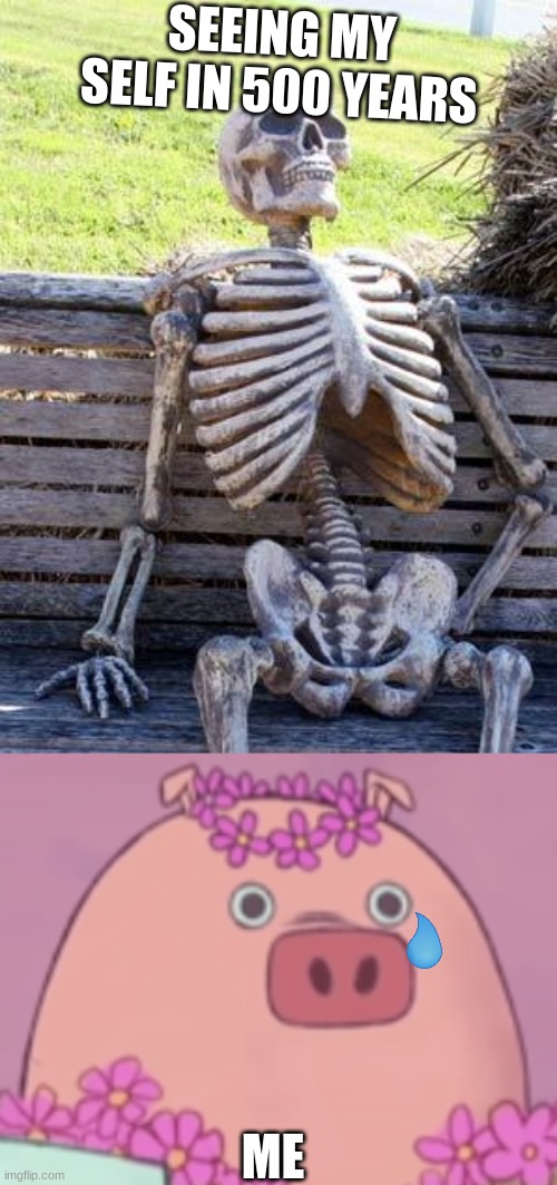 SEEING MY SELF IN 500 YEARS; ME | image tagged in memes,waiting skeleton | made w/ Imgflip meme maker