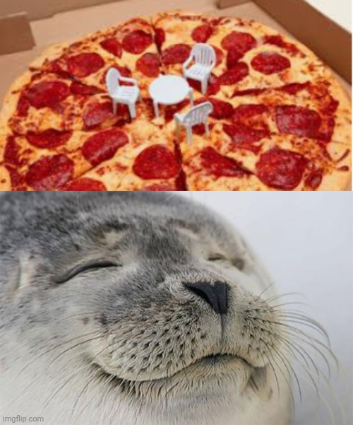 image tagged in memes,satisfied seal | made w/ Imgflip meme maker