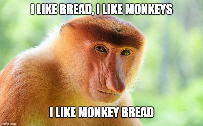 It's very tasty | I LIKE BREAD, I LIKE MONKEYS; I LIKE MONKEY BREAD | image tagged in nosacz monkey | made w/ Imgflip meme maker