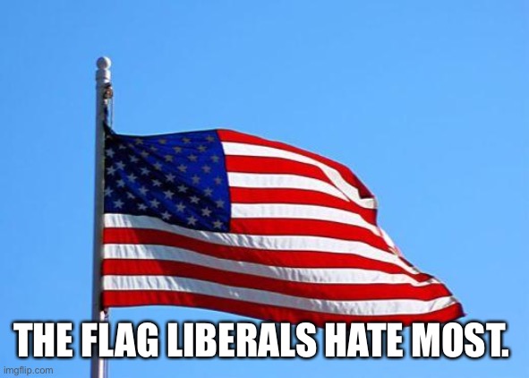 American flag | THE FLAG LIBERALS HATE MOST. | image tagged in american flag | made w/ Imgflip meme maker