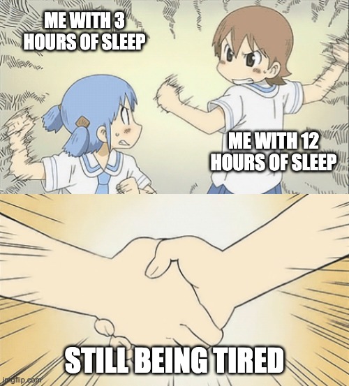 Always tired | ME WITH 3 HOURS OF SLEEP; ME WITH 12 HOURS OF SLEEP; STILL BEING TIRED | image tagged in nichijou agree | made w/ Imgflip meme maker