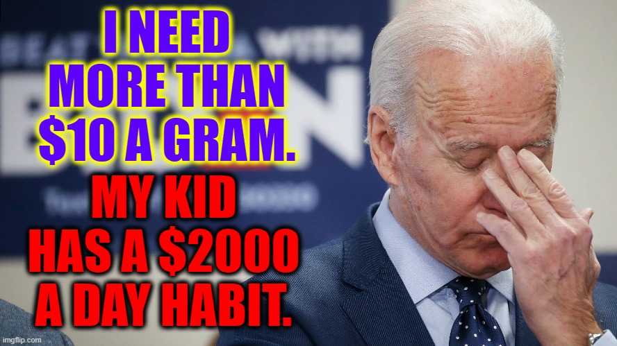 Selling Weed to pay for Crack | MY KID HAS A $2000 A DAY HABIT. I NEED MORE THAN $10 A GRAM. | image tagged in vince vance,hunter biden,joe biden,crack,memes,meth | made w/ Imgflip meme maker