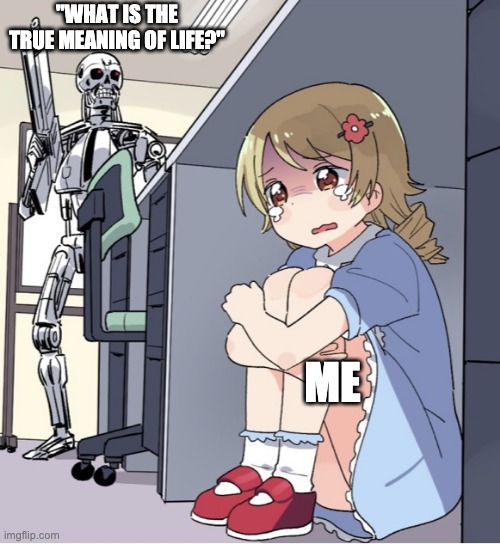 Piaget's Fourth Stage | "WHAT IS THE TRUE MEANING OF LIFE?"; ME | image tagged in anime girl hiding from terminator,piaget,piagets fourth stage,formal operations | made w/ Imgflip meme maker