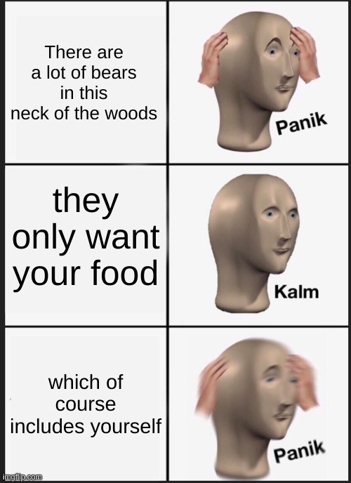Panik Kalm Panik | There are a lot of bears in this neck of the woods; they only want your food; which of course includes yourself | image tagged in memes,panik kalm panik | made w/ Imgflip meme maker