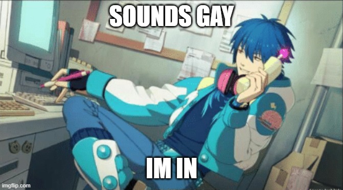 Sounds Gay | SOUNDS GAY IM IN | image tagged in sounds gay | made w/ Imgflip meme maker