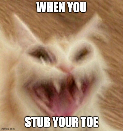 BRUH LOL | WHEN YOU; STUB YOUR TOE | image tagged in memes,cats,lol,dat face | made w/ Imgflip meme maker