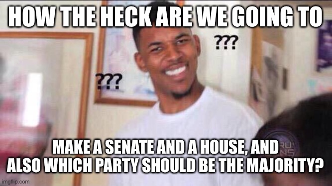For real, how are we going to? | HOW THE HECK ARE WE GOING TO; MAKE A SENATE AND A HOUSE, AND ALSO WHICH PARTY SHOULD BE THE MAJORITY? | image tagged in black guy confused | made w/ Imgflip meme maker