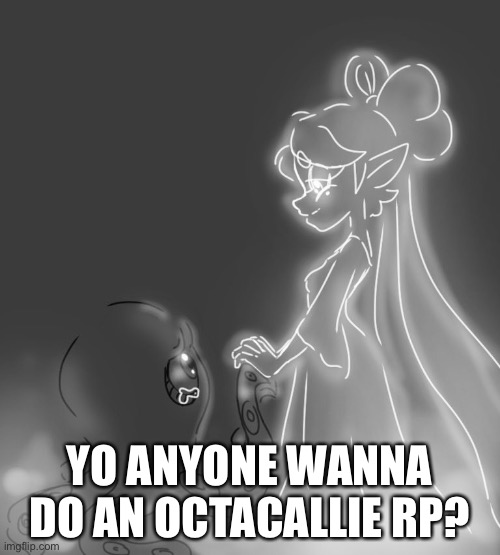YO ANYONE WANNA DO AN OCTACALLIE RP? | image tagged in ship | made w/ Imgflip meme maker