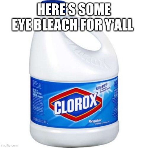 bleach | HERE’S SOME EYE BLEACH FOR Y’ALL | image tagged in bleach | made w/ Imgflip meme maker