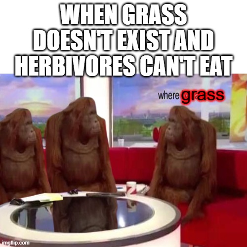 where grass | WHEN GRASS DOESN'T EXIST AND HERBIVORES CAN'T EAT; grass | image tagged in memes,where banana | made w/ Imgflip meme maker