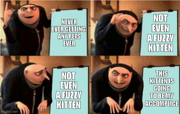 New cat owners | NOT EVEN A FUZZY KITTEN; NEVER EVER GETTING 
ANY PETS
EVER; THIS KITTEN IS GOING TO BE MY ACCOMPLICE; NOT EVEN A FUZZY KITTEN | image tagged in gru's plan alt,cats | made w/ Imgflip meme maker