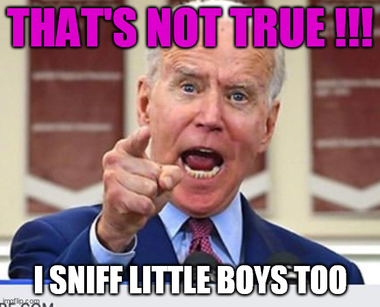Joe Biden no malarkey | THAT'S NOT TRUE !!! I SNIFF LITTLE BOYS TOO | image tagged in joe biden no malarkey | made w/ Imgflip meme maker