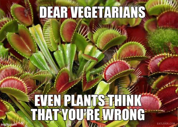 image tagged in vegetarian | made w/ Imgflip meme maker