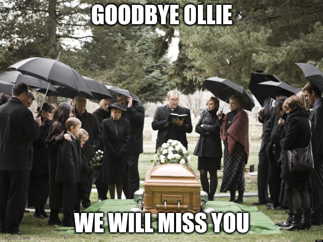 :( | GOODBYE OLLIE; WE WILL MISS YOU | image tagged in funeral | made w/ Imgflip meme maker
