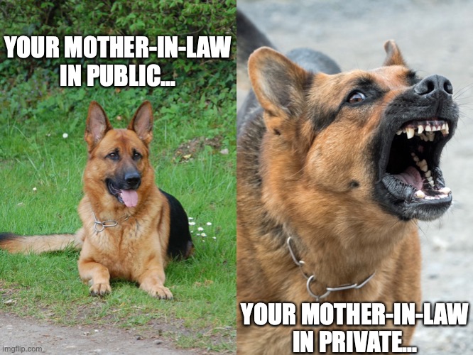 MIL's Gone Wild... |  YOUR MOTHER-IN-LAW IN PUBLIC... YOUR MOTHER-IN-LAW IN PRIVATE... | image tagged in mother in law,monster,bite,dog memes,in laws,meme | made w/ Imgflip meme maker