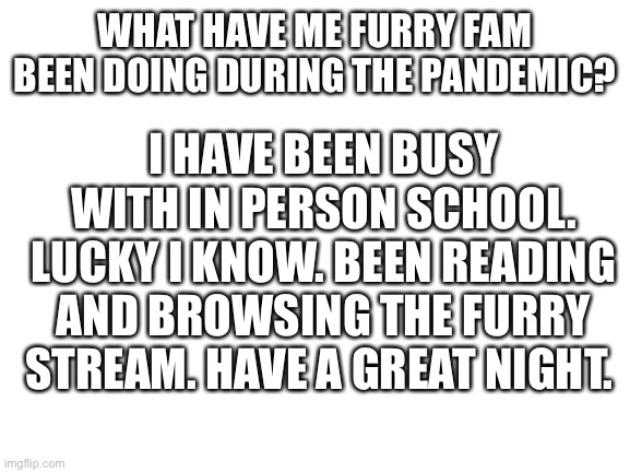 Blank White Template | WHAT HAVE ME FURRY FAM BEEN DOING DURING THE PANDEMIC? I HAVE BEEN BUSY WITH IN PERSON SCHOOL. LUCKY I KNOW. BEEN READING AND BROWSING THE FURRY STREAM. HAVE A GREAT NIGHT. | image tagged in blank white template | made w/ Imgflip meme maker