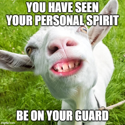 Crazy goat says! | YOU HAVE SEEN YOUR PERSONAL SPIRIT; BE ON YOUR GUARD | image tagged in crazy goat | made w/ Imgflip meme maker