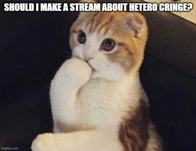 Thinking Cat  | SHOULD I MAKE A STREAM ABOUT HETERO CRINGE? | image tagged in thinking cat | made w/ Imgflip meme maker