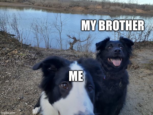 Me vs my brother | MY BROTHER; ME | image tagged in me,my brother,crazy dog | made w/ Imgflip meme maker