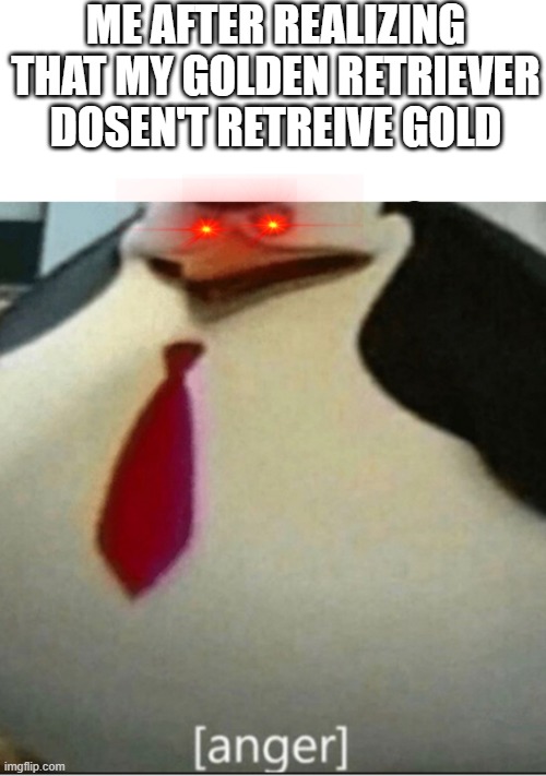 Anger | ME AFTER REALIZING THAT MY GOLDEN RETRIEVER DOSEN'T RETREIVE GOLD | image tagged in anger,golden retriever,gold,angery | made w/ Imgflip meme maker