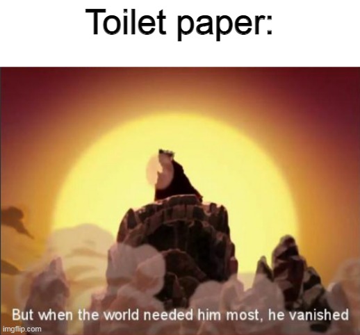 But when the world needed him most, he vanished | Toilet paper: | image tagged in but when the world needed him most he vanished | made w/ Imgflip meme maker