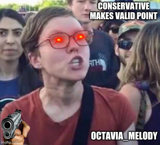 Angry Liberal | CONSERVATIVE MAKES VALID POINT; OCTAVIA_MELODY | image tagged in angry liberal | made w/ Imgflip meme maker