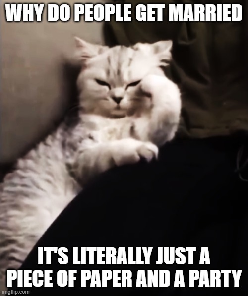Thinking Cat | WHY DO PEOPLE GET MARRIED; IT'S LITERALLY JUST A PIECE OF PAPER AND A PARTY | image tagged in thinking cat | made w/ Imgflip meme maker