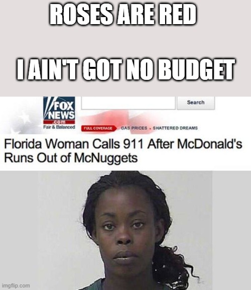 Florida people are crazy! | ROSES ARE RED; I AIN'T GOT NO BUDGET | image tagged in fun,funny,funny memes,funny meme,roses are red,memes | made w/ Imgflip meme maker