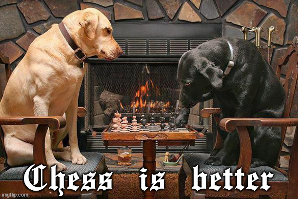 Dogs Playing Chess | Chess is better | image tagged in dogs playing chess | made w/ Imgflip meme maker