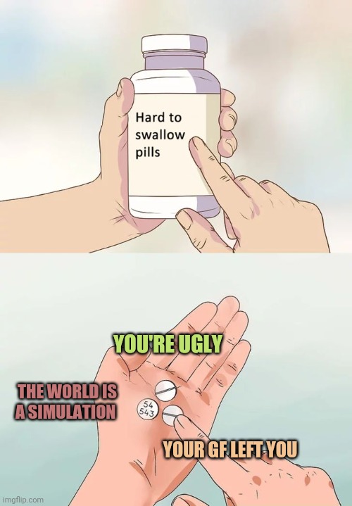 Bring ha |  YOU'RE UGLY; THE WORLD IS A SIMULATION; YOUR GF LEFT YOU | image tagged in memes,hard to swallow pills | made w/ Imgflip meme maker