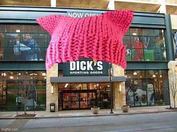 Dicks and Pussies | image tagged in dicks and pussies | made w/ Imgflip meme maker