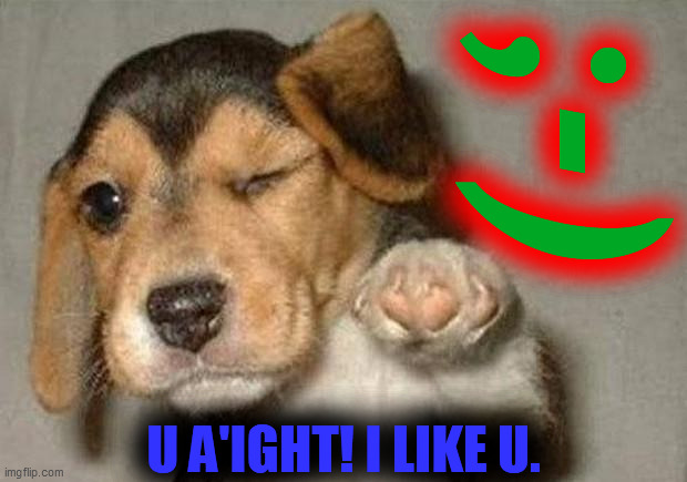 Winking Dog | ;-) U A'IGHT! I LIKE U. | image tagged in winking dog | made w/ Imgflip meme maker