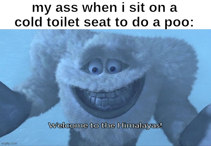 Welcome to the himalayas | my ass when i sit on a cold toilet seat to do a poo: | image tagged in welcome to the himalayas | made w/ Imgflip meme maker