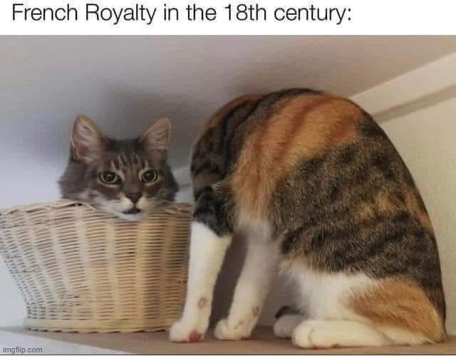 no lies | image tagged in french royalty in the 18th century,royals,beheading | made w/ Imgflip meme maker