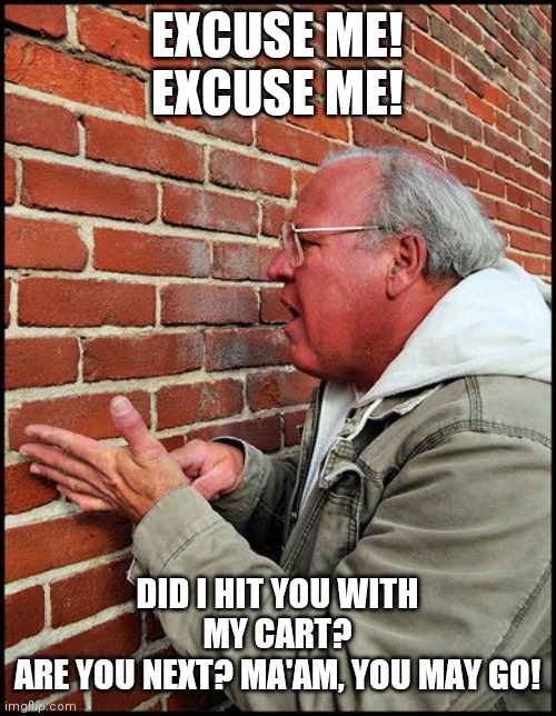 like talking to a brick wall 2 | EXCUSE ME!
EXCUSE ME! DID I HIT YOU WITH MY CART?
ARE YOU NEXT? MA'AM, YOU MAY GO! | image tagged in like talking to a brick wall 2 | made w/ Imgflip meme maker
