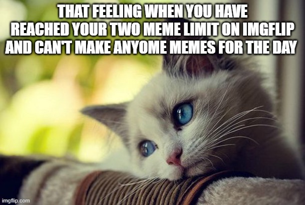 When you have reached your two meme limit |  THAT FEELING WHEN YOU HAVE REACHED YOUR TWO MEME LIMIT ON IMGFLIP AND CAN'T MAKE ANYOME MEMES FOR THE DAY | image tagged in memes,first world problems cat | made w/ Imgflip meme maker