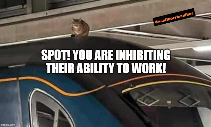 cat train | SPOT! YOU ARE INHIBITING THEIR ABILITY TO WORK! | image tagged in cat train | made w/ Imgflip meme maker