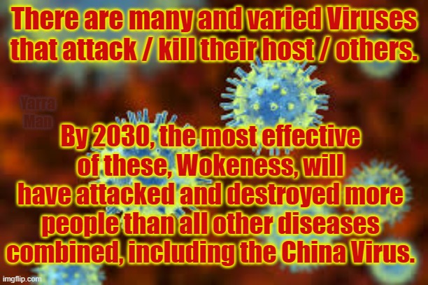 China Virus and Wokeness | There are many and varied Viruses that attack / kill their host / others. Yarra Man; By 2030, the most effective of these, Wokeness, will have attacked and destroyed more people than all other diseases combined, including the China Virus. | image tagged in wokeness and other viruses | made w/ Imgflip meme maker