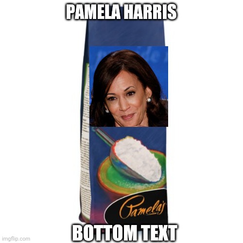 PAMELA HARRIS; BOTTOM TEXT | image tagged in bread,funny memes,hahahaha,haha brrrrrrr,memes,funny | made w/ Imgflip meme maker