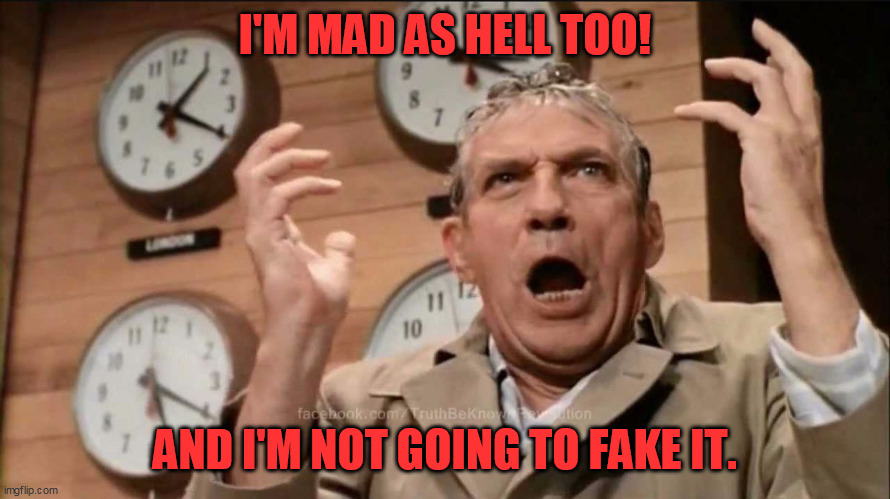 Mad as hell | I'M MAD AS HELL TOO! AND I'M NOT GOING TO FAKE IT. | image tagged in mad as hell | made w/ Imgflip meme maker