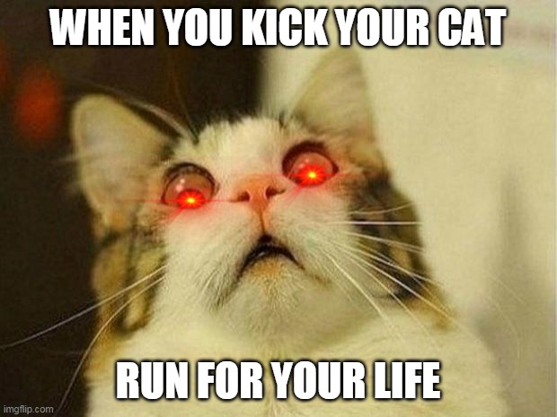 RUNNNNN♦♣○ | WHEN YOU KICK YOUR CAT; RUN FOR YOUR LIFE | image tagged in memes,scared cat,cats | made w/ Imgflip meme maker