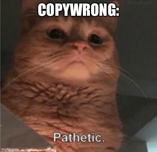 Pathetic Cat | COPYWRONG: | image tagged in pathetic cat | made w/ Imgflip meme maker