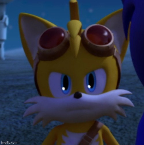 Unamused Boom Tails | image tagged in unamused boom tails | made w/ Imgflip meme maker