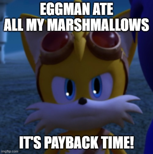 Payback Time! | EGGMAN ATE ALL MY MARSHMALLOWS; IT'S PAYBACK TIME! | image tagged in unamused boom tails | made w/ Imgflip meme maker