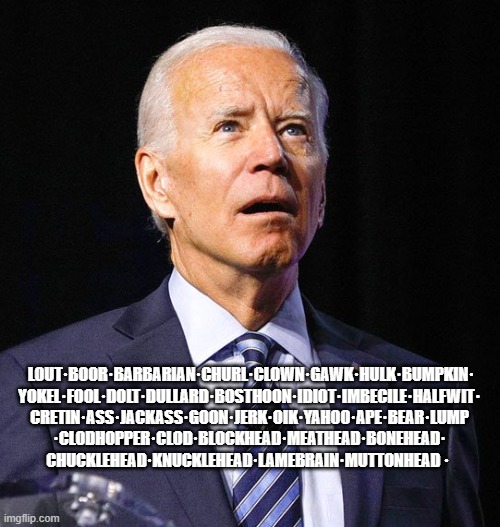 Joe Biden | LOUT·BOOR·BARBARIAN·CHURL·CLOWN·GAWK·HULK·BUMPKIN· YOKEL·FOOL·DOLT·DULLARD·BOSTHOON·IDIOT·IMBECILE·HALFWIT· CRETIN·ASS·JACKASS·GOON·JERK·OIK·YAHOO·APE·BEAR·LUMP ·CLODHOPPER·CLOD·BLOCKHEAD·MEATHEAD·BONEHEAD· CHUCKLEHEAD·KNUCKLEHEAD·LAMEBRAIN·MUTTONHEAD · | image tagged in joe biden | made w/ Imgflip meme maker