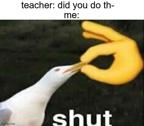 teacher: did you do th-  
 me: | image tagged in shut | made w/ Imgflip meme maker