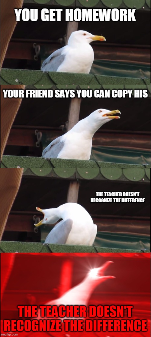 HOMEWORK!!!!! | YOU GET HOMEWORK; YOUR FRIEND SAYS YOU CAN COPY HIS; THE TEACHER DOESN'T RECOGNIZE THE DIFFERENCE; THE TEACHER DOESN'T RECOGNIZE THE DIFFERENCE | image tagged in memes,inhaling seagull | made w/ Imgflip meme maker