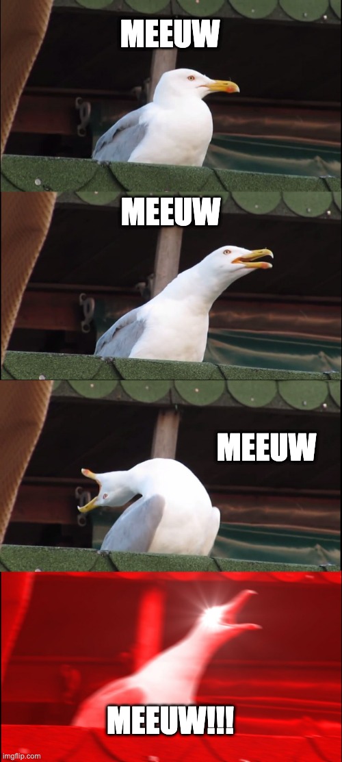 Inhaling Seagull | MEEUW; MEEUW; MEEUW; MEEUW!!! | image tagged in memes,inhaling seagull,meeuw,funny animals,funny words | made w/ Imgflip meme maker