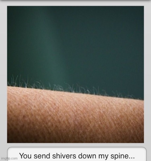 Goosebumps and shivers  | image tagged in goosebumps and shivers | made w/ Imgflip meme maker